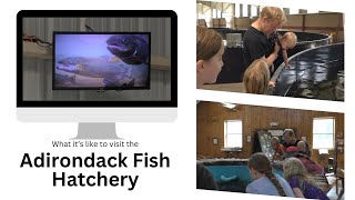 What It's Like To Visit An Adirondack Fish Hatchery/Culture Station