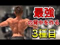 ケーブルマシンで鍛える背中トレーニング【背中トレ】