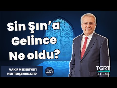 Sin Şın'a Gelince Ne oldu?