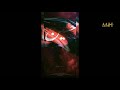 Imam Hussain Whatsapp Status