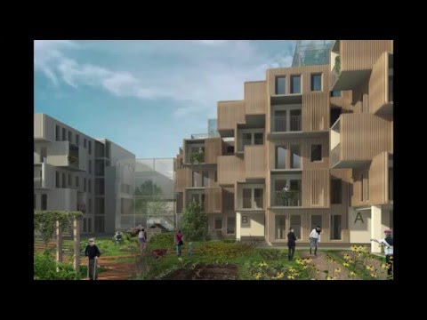 Responsibility Brings Purpose