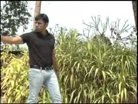 Mog ho kai toh song Moga yo tu yo tu mhojea