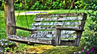 Lacy J  Dalton - &quot;Listen to the Wind&quot;