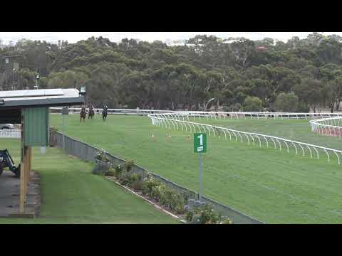 Strathalbyn 15/01/21 – Jump Out 18