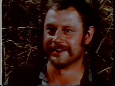 Die preußischen Reformen