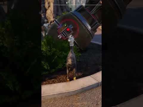 we accidentally a nuke.