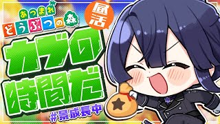 【あつまれどうぶつの森】ガチ島クリ頑張るためのカブ取引【長尾景/にじさんじ】