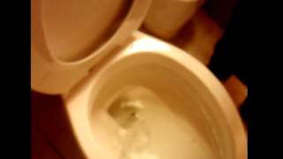 Leave This World Blind(update kinda)