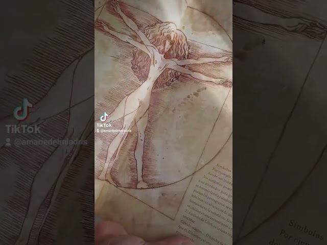 Vídeo relacionado con Las brujas (Enciclopedia de seres mágicos)