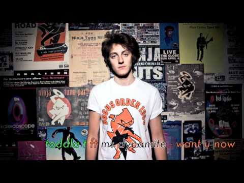 TODDLA T FT MS DYNAMITE - WANT U NOW