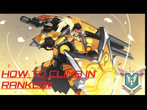 The Best Tips For Playing As The Main Tank In Paladins