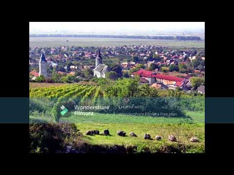 Missh x Lotfi Begi feat  Hiro   Megöl Hardstyle remix Tarcalra szól a zene