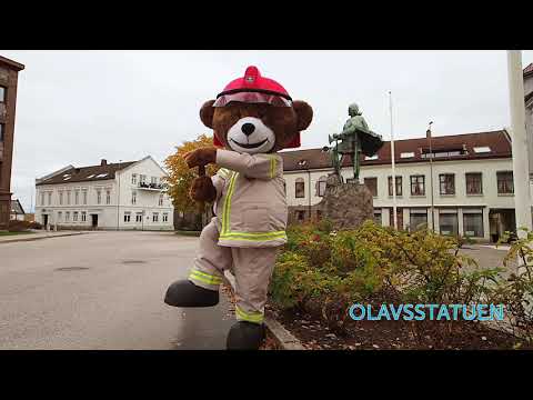 Bjørnis besøker Sarpsborg