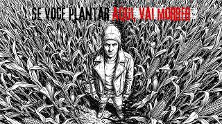 O pior lugar para plantar num apocalipse (e todo mundo escolhe ele)