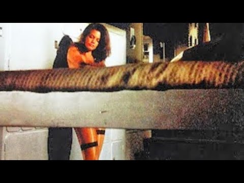 The Adult Battlestar Galactica Movie!