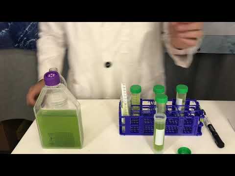 Comparison of Analytical Methods