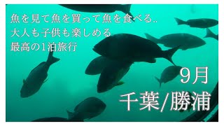 旅行//千葉で魚に溢れた旅をしてきた！