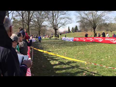 Campionati Italiani Master di Cross. Torino 8/3/2015