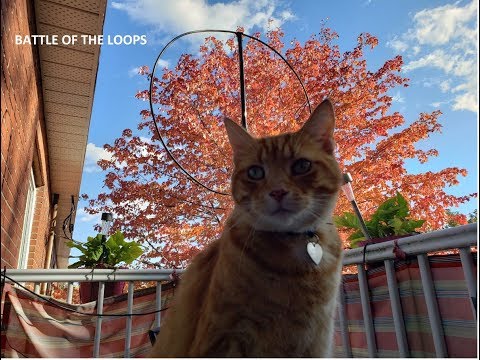 BATTLE OF THE LOOPS CFRX 6070 kHz Shortwave W6LVP VS MLA 30 Antenna TEST