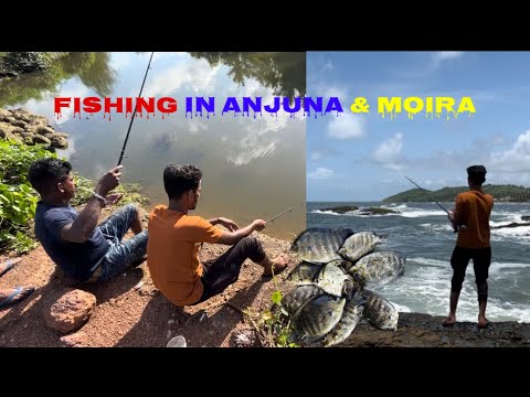 Fishing on Anjuna beach and Moira river🎣