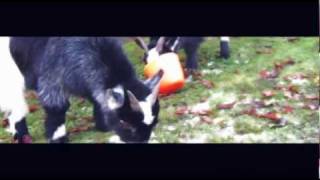 You and me Against the world&#39;♥ ᴴᴰ