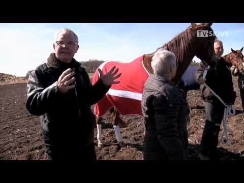 3 skuespillere på 12 ben