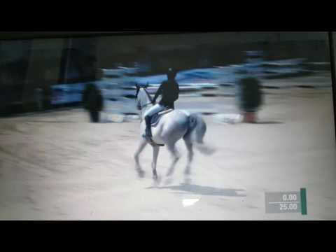 BWM Schutterwald 2016