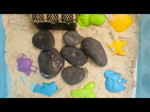 Ocean Animals in the Sand! Search for animals, and hidden treasure! Counting numbers 1-7
