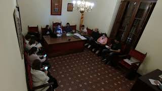 Ple en sessió extraordinària 22 d'octubre de 2024