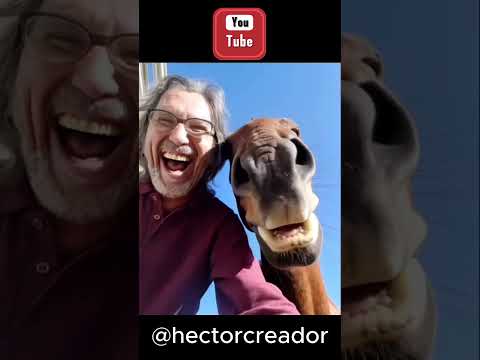 Dos jinetes en Molles de Aigua #jinetes