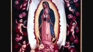 MAÑANITAS GUADALUPANAS. JILGUERILLAS.wmv
