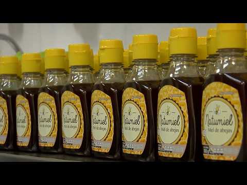 18 FEB   CAP 2   APICULTURA DISTRIAPÍCOLA   CAICEDONIA   VALLE