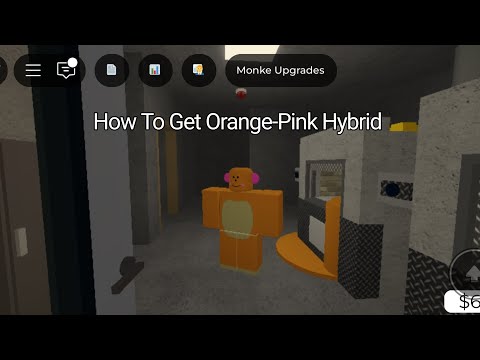 monke game - How to get Orange-Pink Hybrid - Roblox
