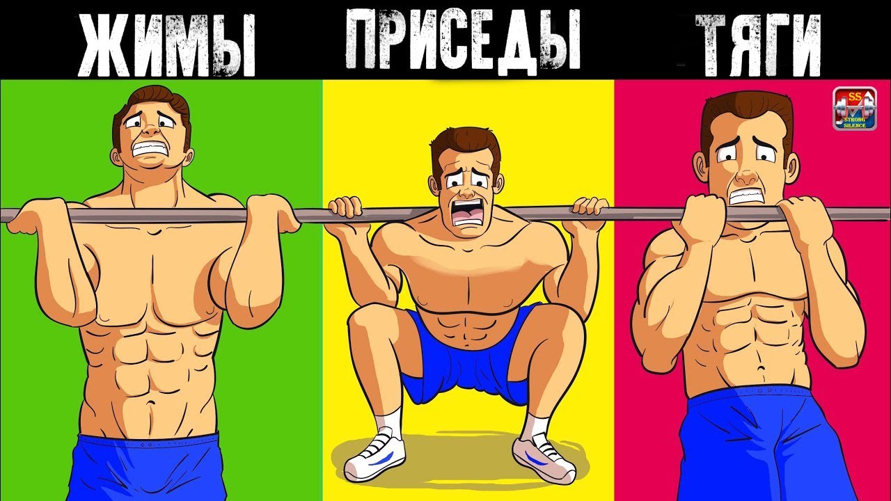 Только 7 Упражнений Нужно вам чтобы Набрать Массу