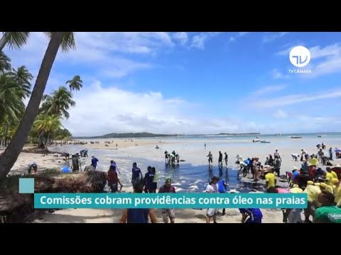 Comissões cobram providências contra óleo nas praias - 31/10/19