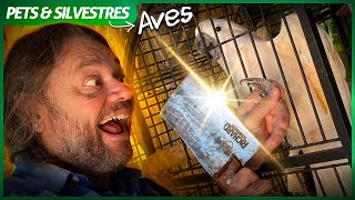 Miniatura do vídeo