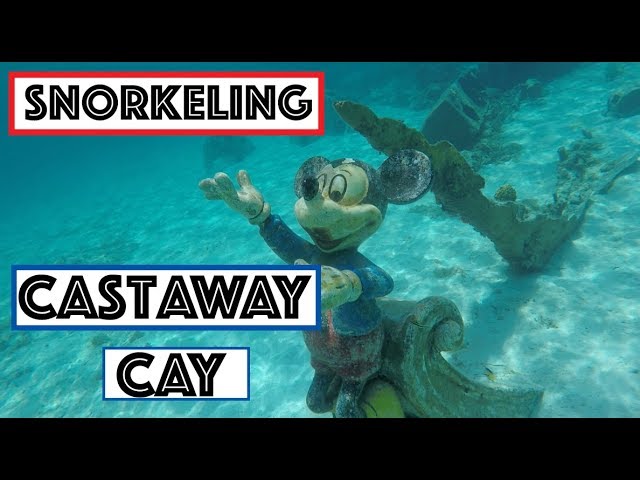 Disney Cruise VLOG 28 Snorkeling CASTAWAY CAY