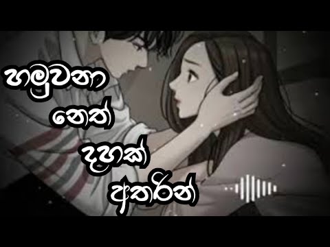 හමුවෙනා නෙත් දහක් අතරින් (hamuwena neth dahak atarin )