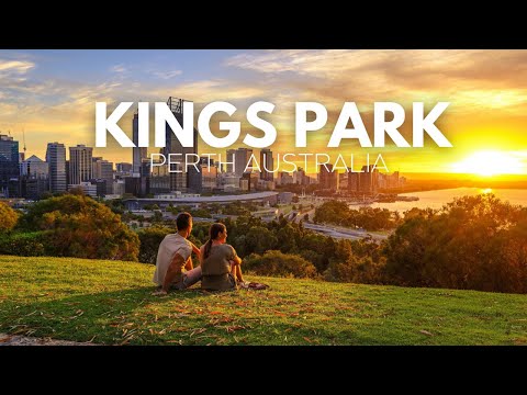 Kings Park Perth Australia | Things To Do in Kings Park
