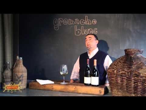 download lagu mp3 mp4 Grenache Blanc Grape, download lagu Grenache Blanc Grape gratis, unduh video klip Grenache Blanc Grape
