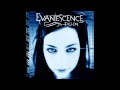 Evanescence - Imaginary