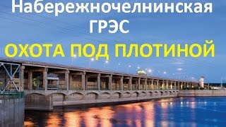 Рыбалка в челнах на платине