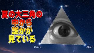 夏休みあるある