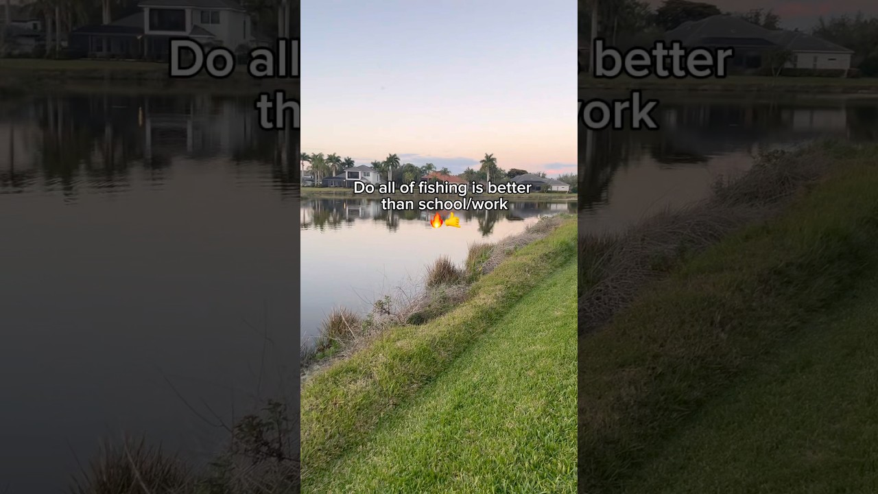 Subscribe if this is True! 👀