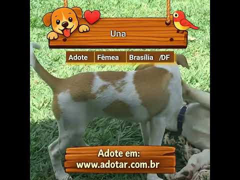 Vídeo de Una