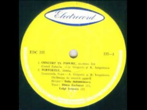 Luigi Ionescu-Turturele