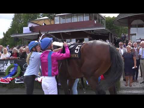 Marc Stott Dansk derbydag 2018