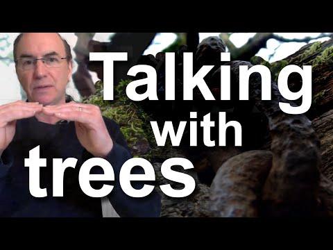 Benefits Of Trees - Talking With Trees ("Live" Q&A - edited)