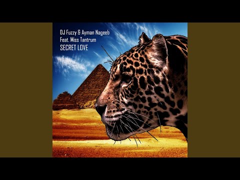 Secret Love (Andrey Kravtsov, Monoteq Remix)