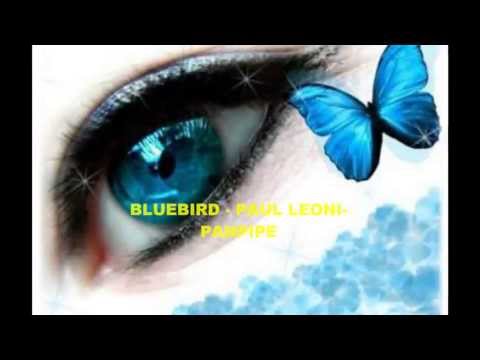 BLUEBIRD  ❤♫❤   PANPIPE - Album Flight Of Fancy